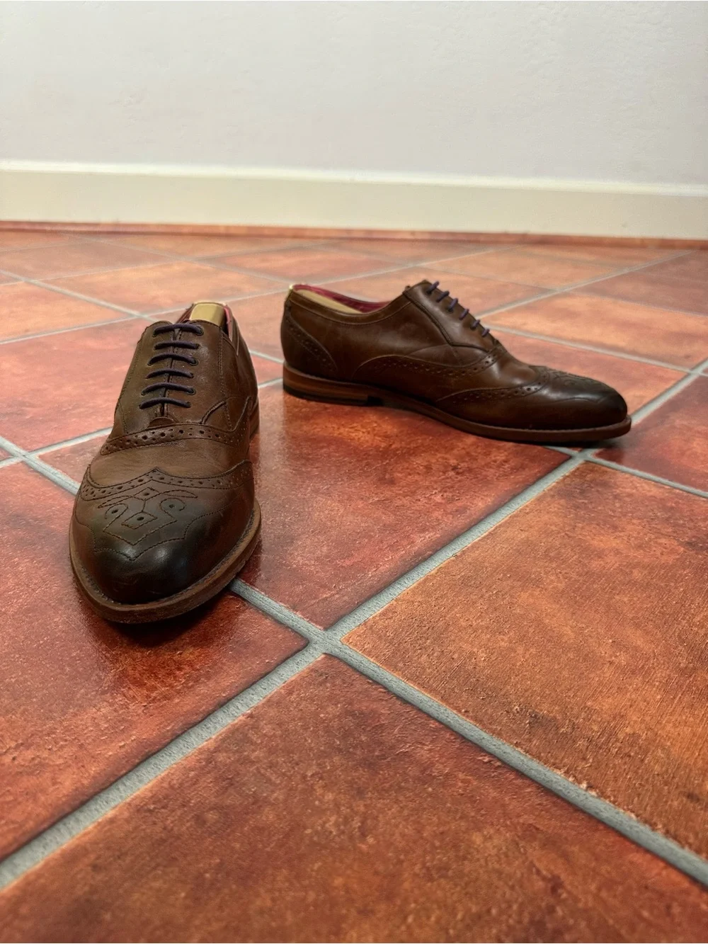 Ted Baker Men's Wingtip Leather Derbys with Brogue Detail and Pink Interior